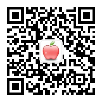 斯恒同网络