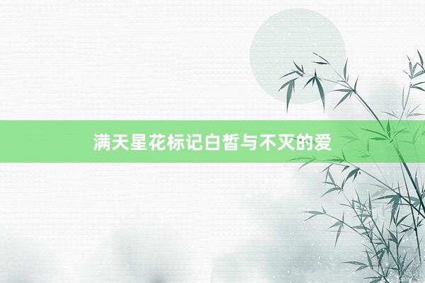 满天星花标记白皙与不灭的爱