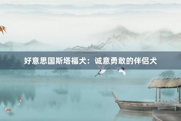 好意思国斯塔福犬：诚意勇敢的伴侣犬
