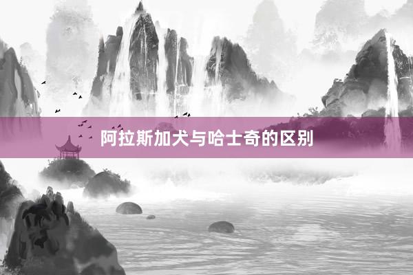 阿拉斯加犬与哈士奇的区别