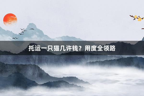 托运一只猫几许钱？用度全领路