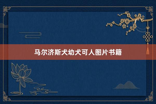 马尔济斯犬幼犬可人图片书籍